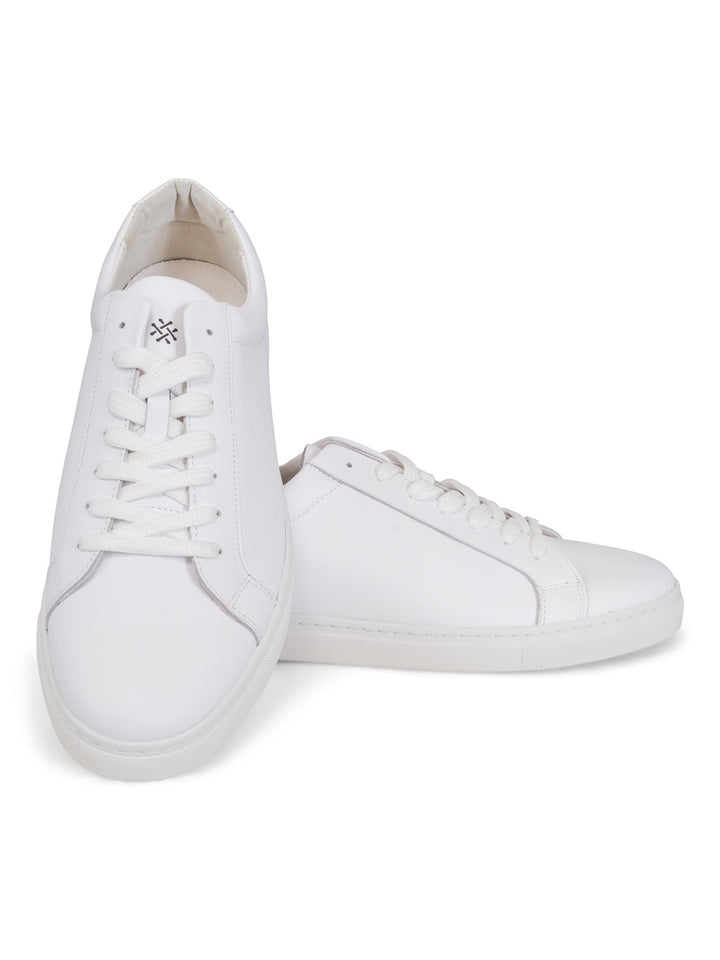 Sneaker Classic