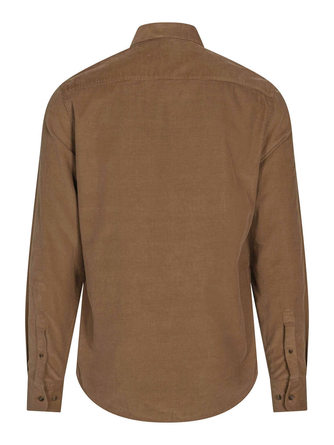 Cambridge Daily Tailor