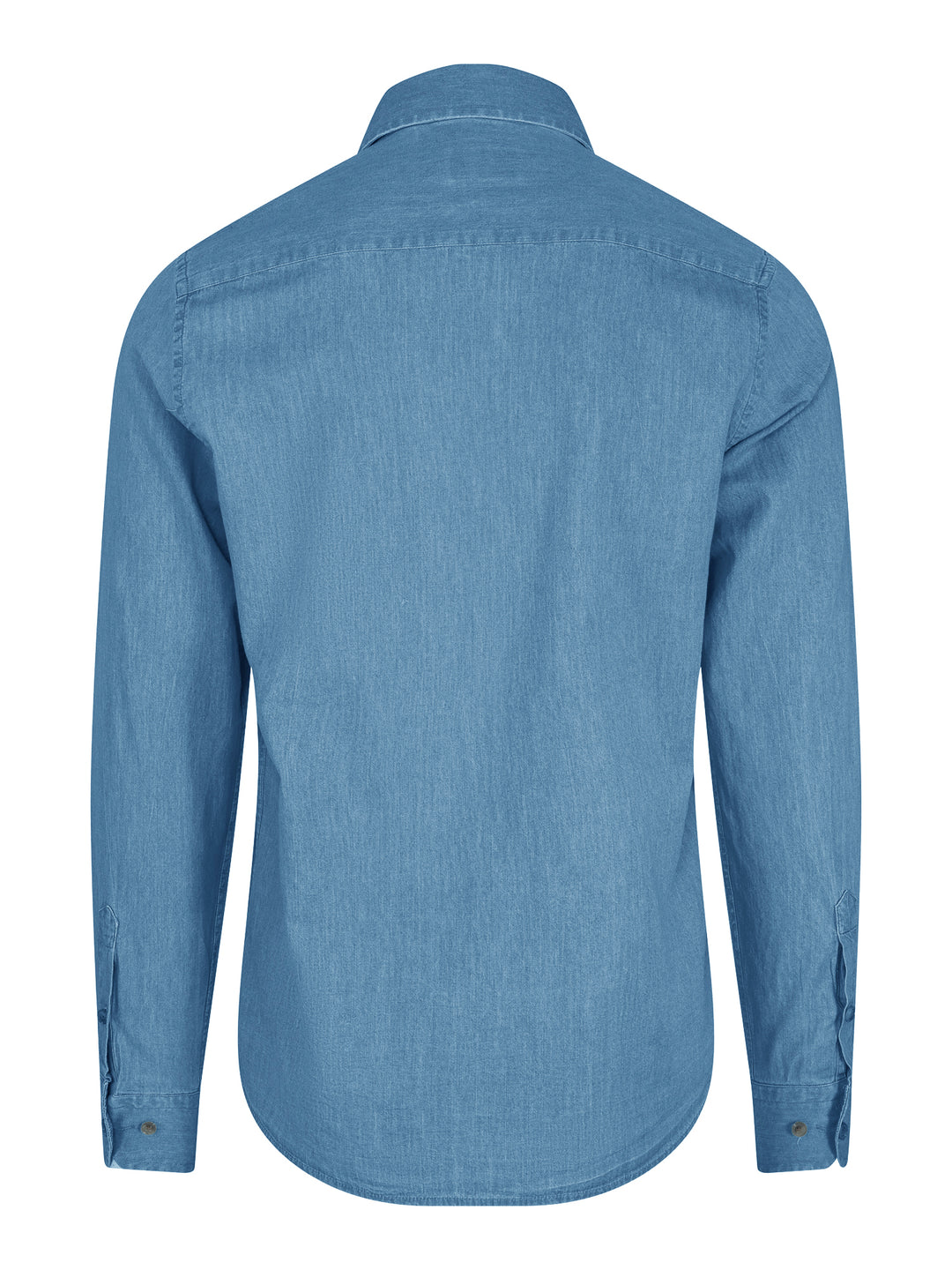Carlo Daily Tailor