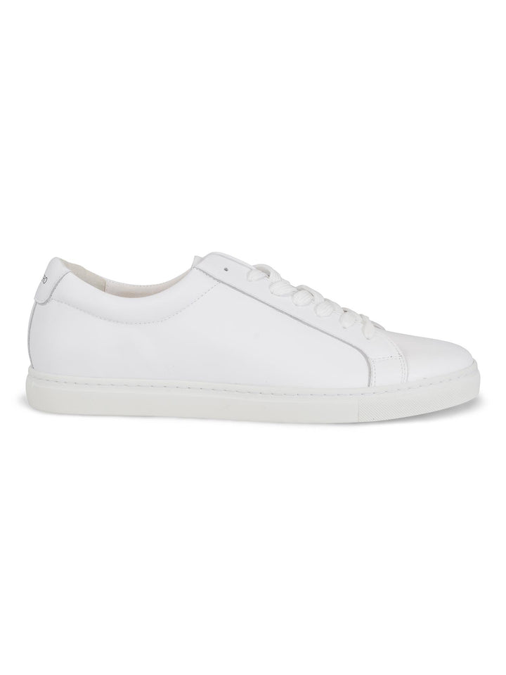 Sneaker Classic